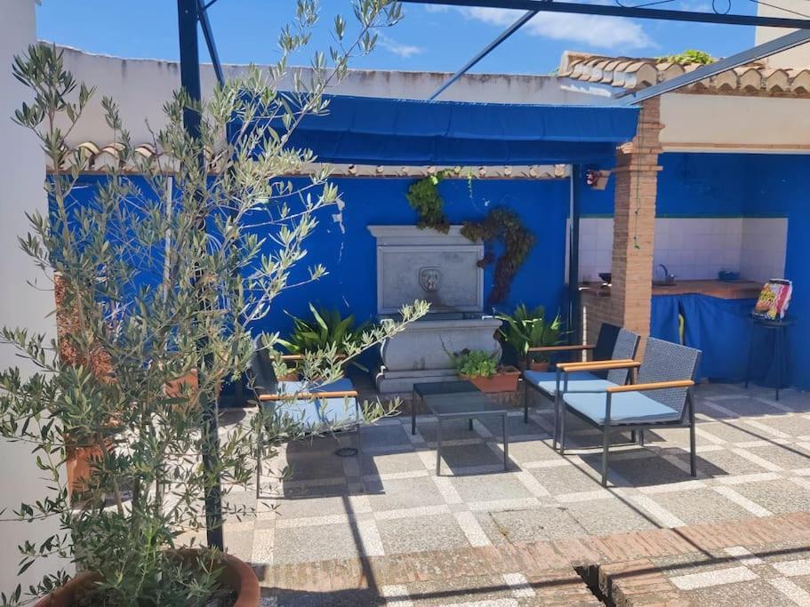 Lolas Cozy Studio Гранада Экстерьер фото